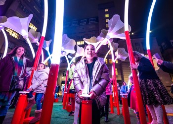 Trumpet Flowers, Illuminate Adelaide