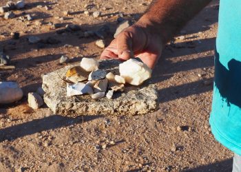 Learn about First Nations culture