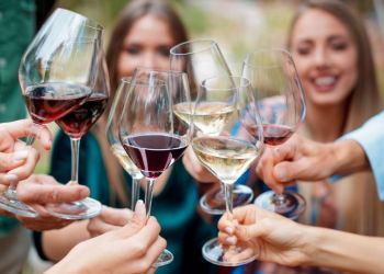 The rise of NOLO and a new way to enjoy wine