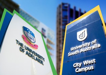 Study notes: A quick guide to the creation of a new university