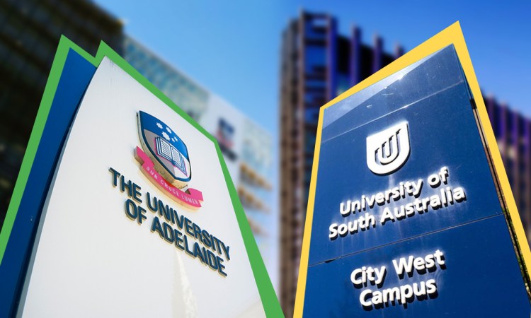 Study notes: A quick guide to the creation of a new university