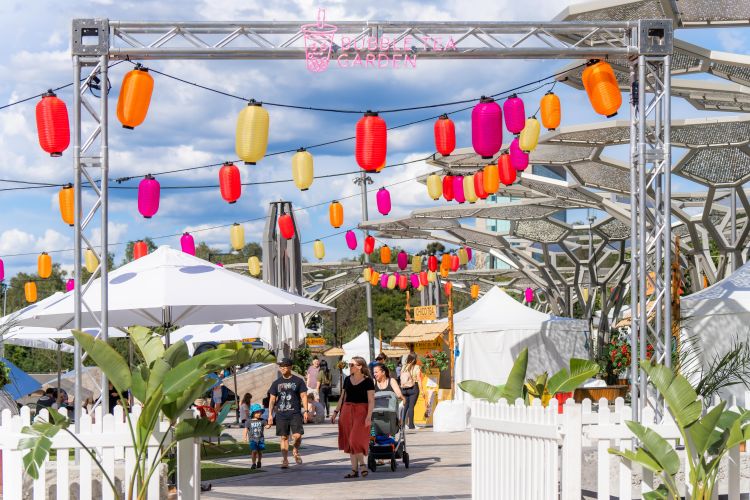 What’s on SA: October edition