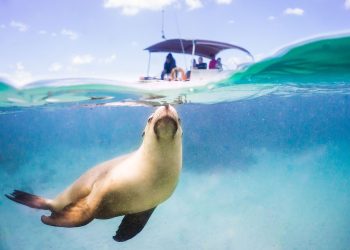 Travel our way: 12 must-do summer holiday experiences in SA