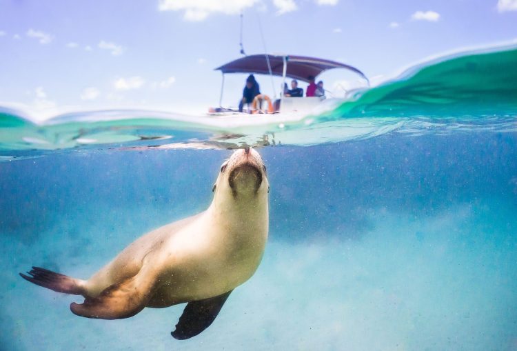 Travel our way: 12 must-do summer holiday experiences in SA