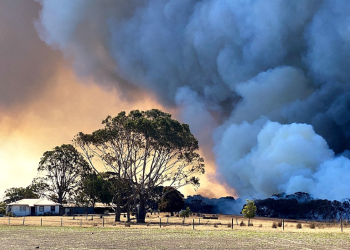 Five steps to get bushfire ready