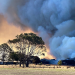 Five steps to get bushfire ready
