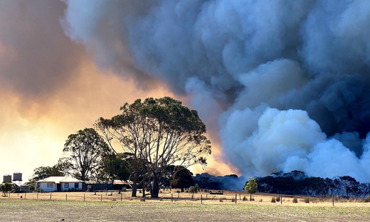 Five steps to get bushfire ready