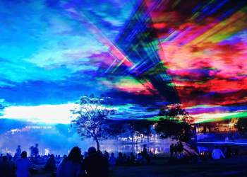 What’s on SA: February edition