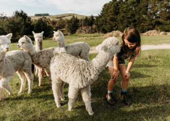 Mount Compass, Fleurieu Peninsula