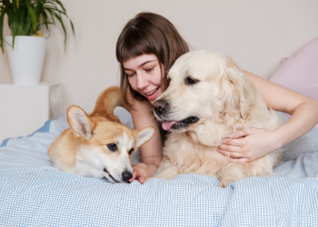 Landmark rental reforms kick in for renters (and their pets!)