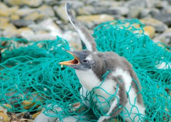 New plastic bans: What you need to know