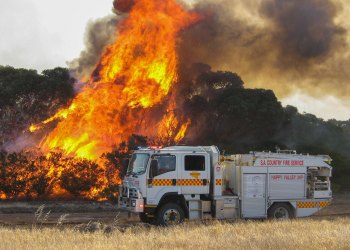 What to expect this bushfire season