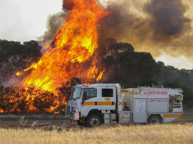 What to expect this bushfire season