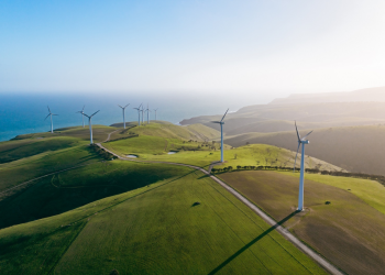 Why SA’s climate action is creating global buzz