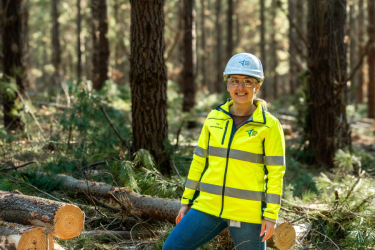Join the green revolution: Why careers in forestry are flourishing