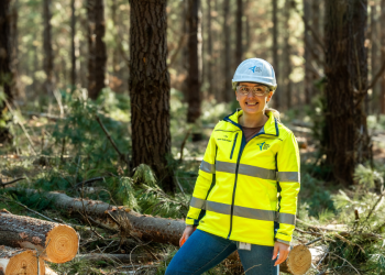 Join the green revolution: Why careers in forestry are flourishing