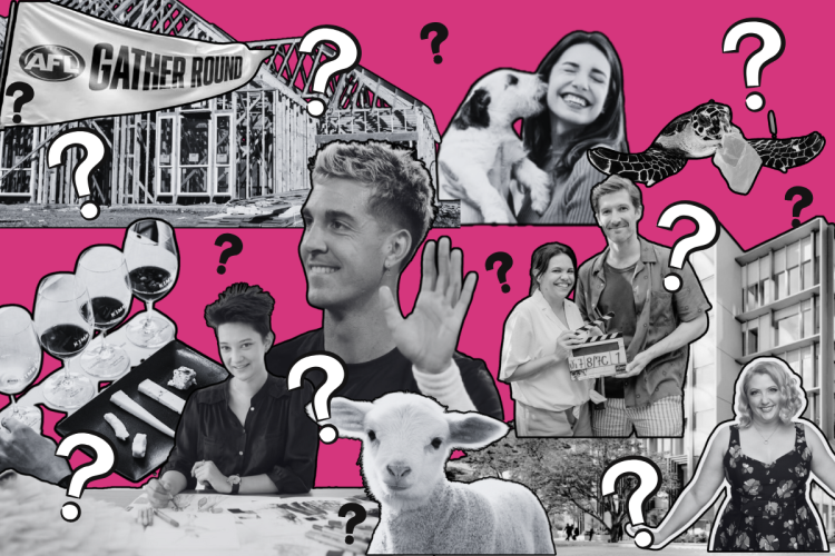 The Post’s Quiz of the Year 2024: Test your SA smarts