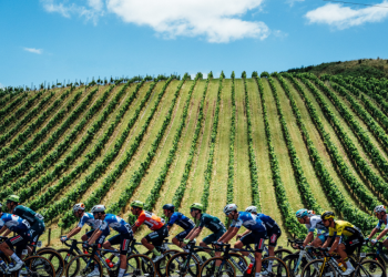 How to TDU: Your two-minute guide for 10 epic days