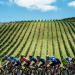How to TDU: Your two-minute guide for 10 epic days
