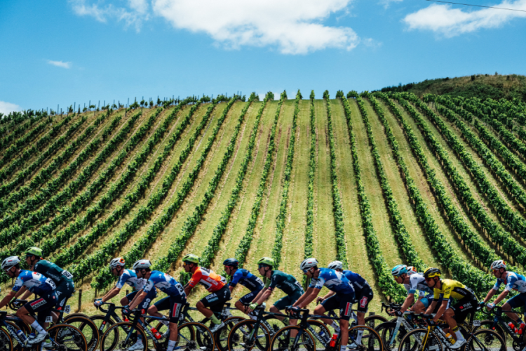 How to TDU: Your two-minute guide for 10 epic days