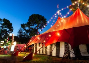 Fringe fever: Local acts you can’t miss