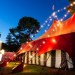 Fringe fever: Local acts you can’t miss
