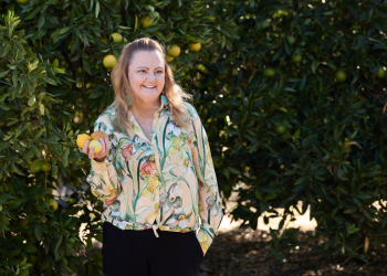 How a pile of peaches sparked an eco-food revolution