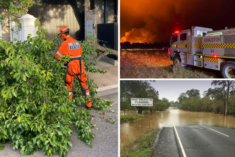 There’s an app for that: How Alert SA can help you dodge danger year-round