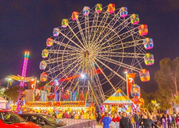 What’s happening in SA: August edition