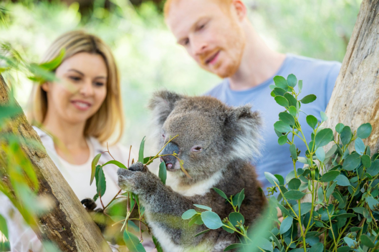 Why it’s time to explore Cleland again