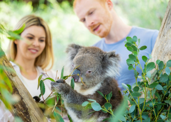 Why it’s time to explore Cleland again