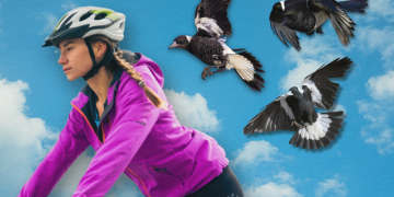 SA’s hidden face of homelessness