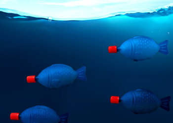 Say goodbye to soy sauce fish: SA’s plastic ban expands