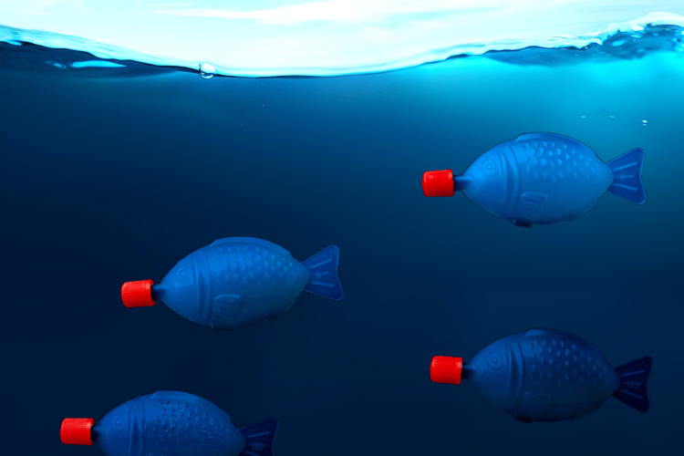 Say goodbye to soy sauce fish: SA’s plastic ban expands