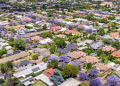 How you can fight climate change in your own street