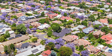 How you can fight climate change in your own street