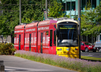 Why’s the Glenelg tram line closed? Here’s the $870m answer