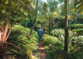 Beyond Lofty: 13 Adelaide walks to clear your mind