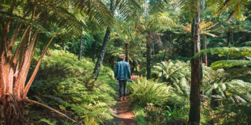 Beyond Lofty: 13 Adelaide walks to clear your mind