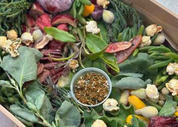 5 delicious ways to try First Nations food and drink in Adelaide