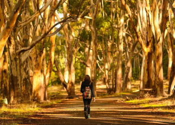 13 great Adelaide walks that aren’t Waterfall Gully to Mt Lofty