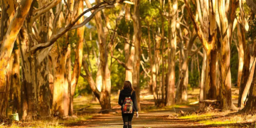 13 great Adelaide walks that aren’t Waterfall Gully to Mt Lofty