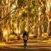 13 great Adelaide walks that aren’t Waterfall Gully to Mt Lofty