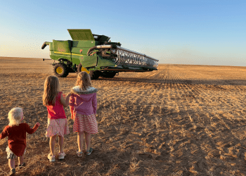 The tiny SA town where young women are taking the lead