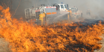 Quiz: How bushfire-safe are your summer plans?