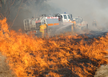 Quiz: How bushfire-safe are your summer plans?