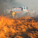Quiz: How bushfire-safe are your summer plans?