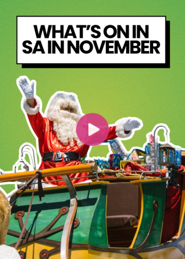 Inside the Adelaide Christmas Pageant Clown School