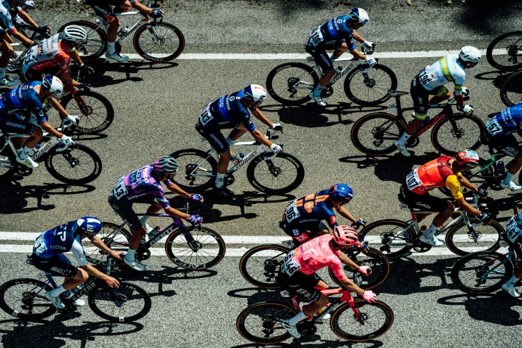 15 things to do in SA this January