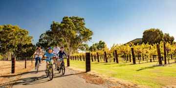 SA’s best cycling trails: 10 rides for every kind of cyclist